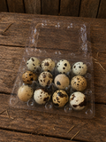 Pearl Fee & Pearl Fee Sparkly Hatching Eggs