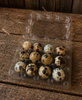 Pharaoh/Pharaoh Sparkly Coturnix Quail Hatching Eggs